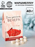 Маршмеллоу для горячих напитков «Для уютного вечера», 40 г 